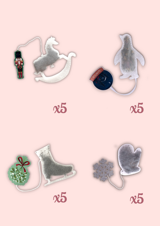 Coffret Sachets de Thé Bio - Hivers Noël
