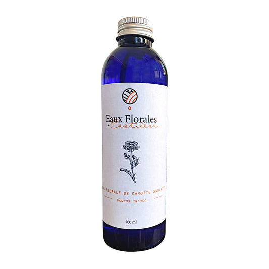 Eau florale de Carotte Sauvage Bio - 200ml
